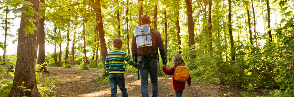 family walking on forest trail
