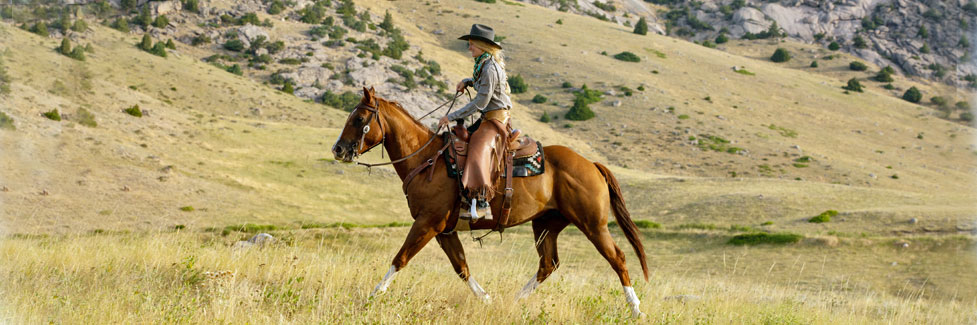 horseback rider in grassy mountains