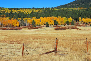 Hope Valley showing fall colors